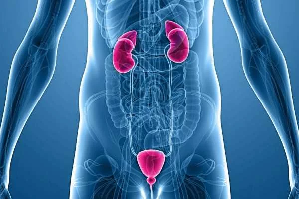 Уролог-андролог: з якою проблемою звертатися?