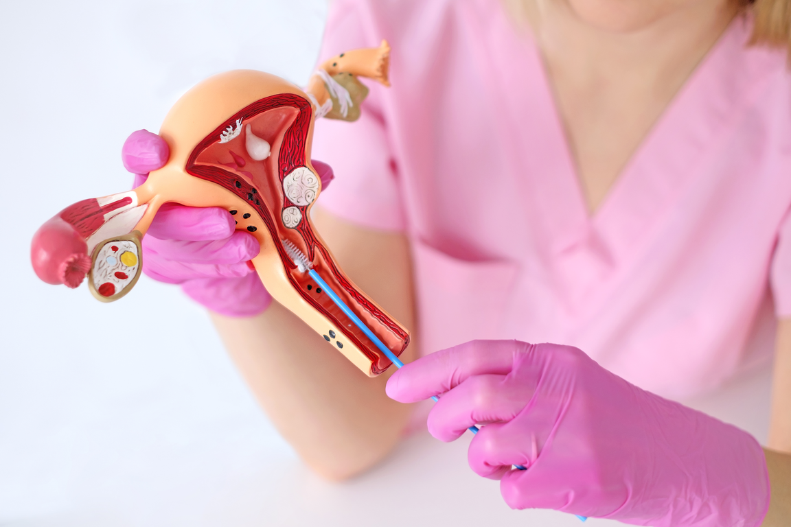 Гінекологія