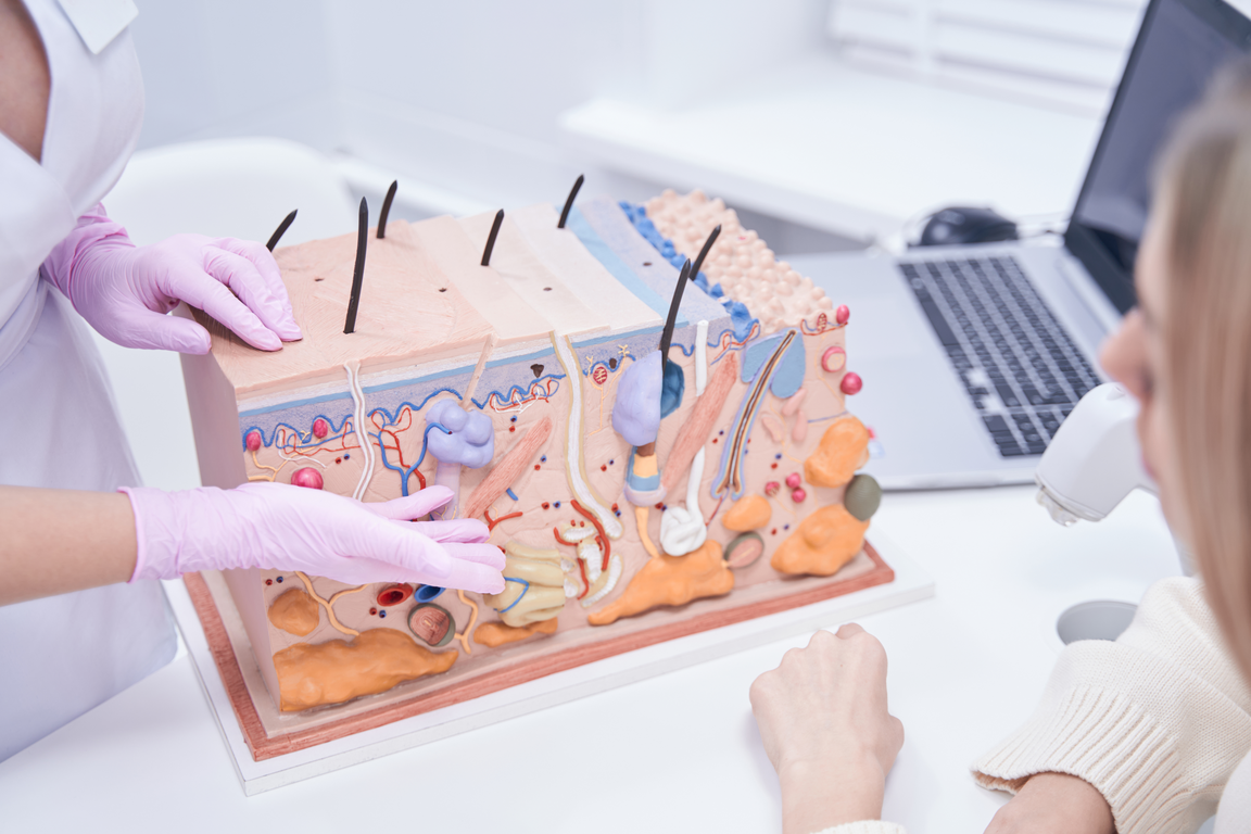 Дерматовенерологія і косметологія