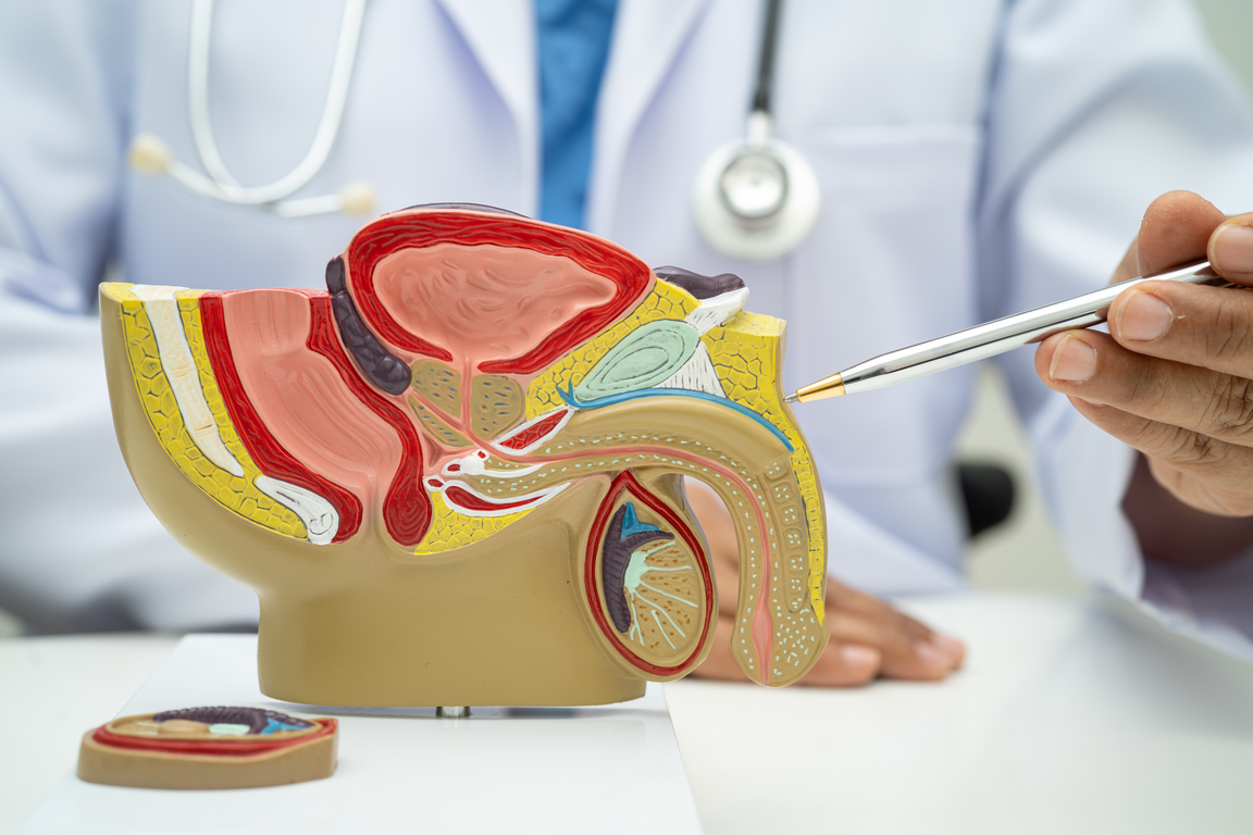 Андролог-уролог