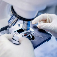 Гістологічне дослідження матеріалу